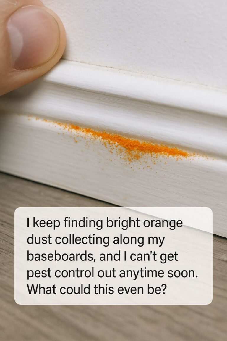 Bright Orange Dust Along Baseboards: Causes & Insights